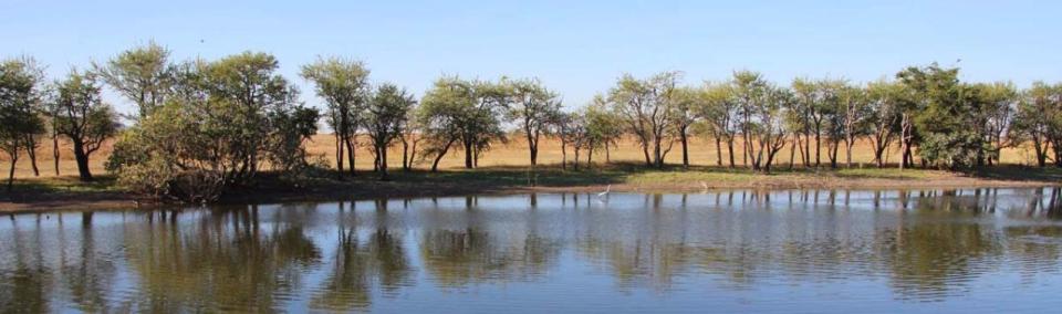 Parry Lagoons Nature Reserve - Marlgu Billabong