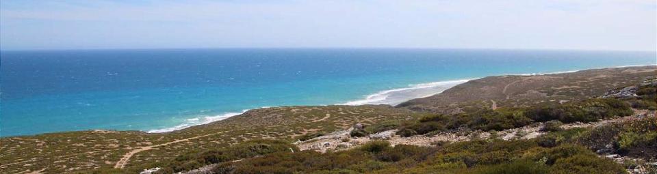 Nullarbor Lookout 3