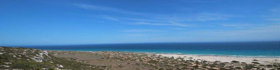 Nullarbor Lookout 4