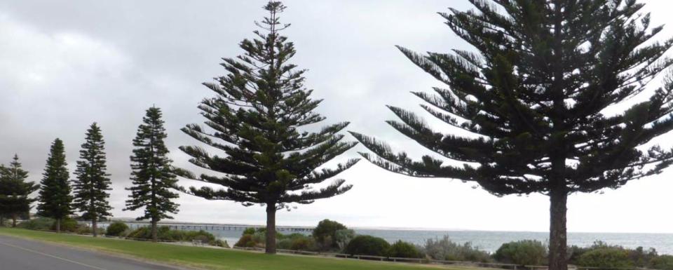 Tumby Bay