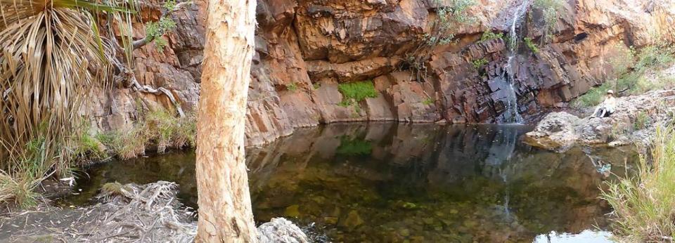 Ngamoowalem Conservation Park - Molly Spring