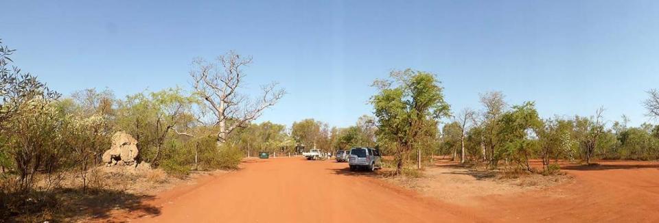 Boab Prison Tree (Derby)