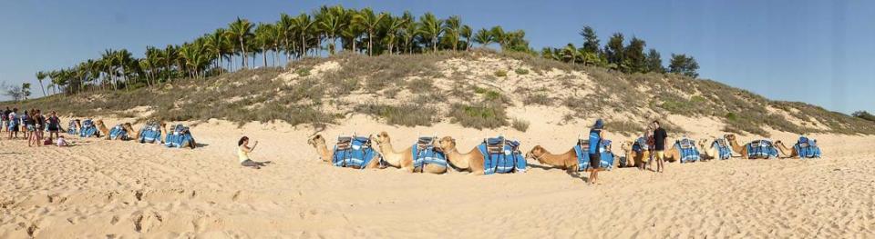 Broome Camel Safaris