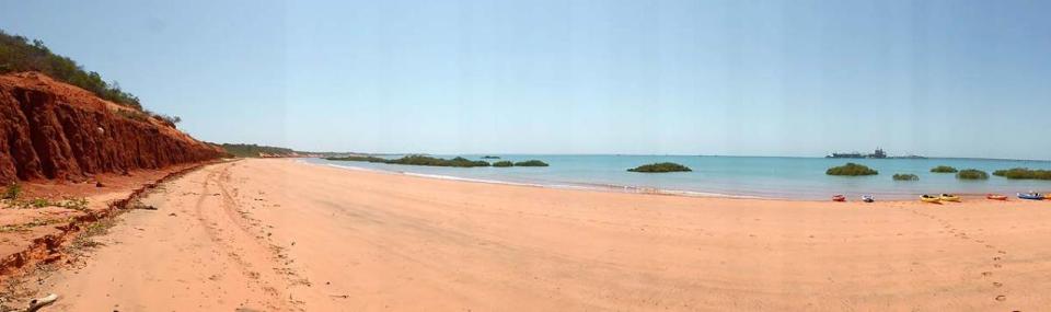 Turtle Kayak Marine Eco Adventure