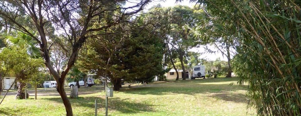 Pine Grove Holiday & Caravan Park