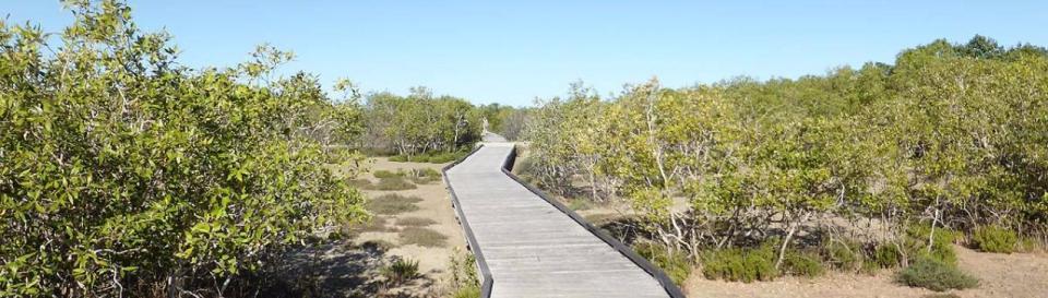 Karumba to Karumba Point Walkway