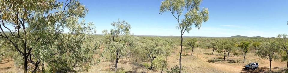 Cobbold Gorge Quartz Blowout