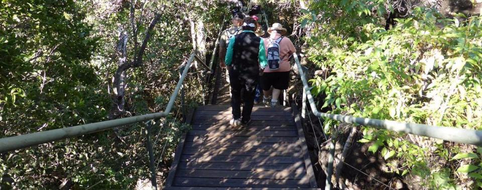 Undara Lava Tubes Tour