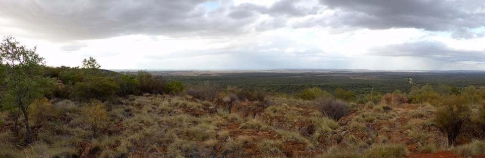Mount Walker lookout
