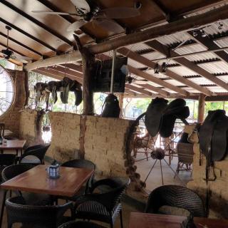 Lazy Lizard Caravan Park & Tavern