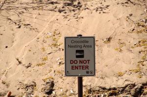 Go to Katherine Gorge - Nitmiluk Tours, Katherine NT 