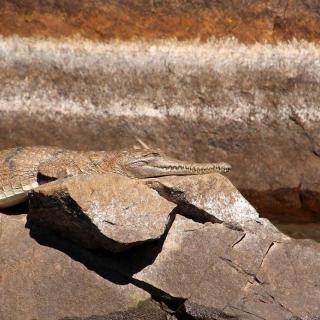 Katherine Gorge - Nitmiluk Tours