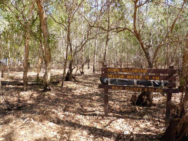 Cooinda Wetlands Walk