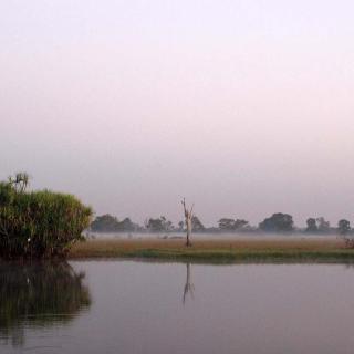 Yellow Water Cruises - Gagudju Dreaming