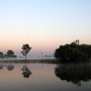 Yellow Water Cruises - Gagudju Dreaming