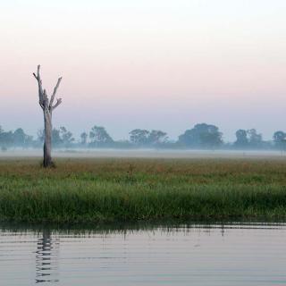 Yellow Water Cruises - Gagudju Dreaming
