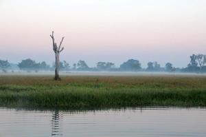 Go to Yellow Water Cruises - Gagudju Dreaming, Cooinda Lodge Kakadu NT 