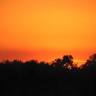 Yellow Water Cruises - Gagudju Dreaming