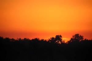 Go to Yellow Water Cruises - Gagudju Dreaming, Cooinda Lodge Kakadu NT 