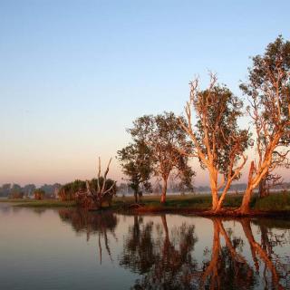 Yellow Water Cruises - Gagudju Dreaming