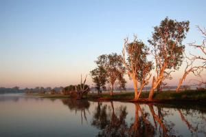 Go to Yellow Water Cruises - Gagudju Dreaming, Cooinda Lodge Kakadu NT 