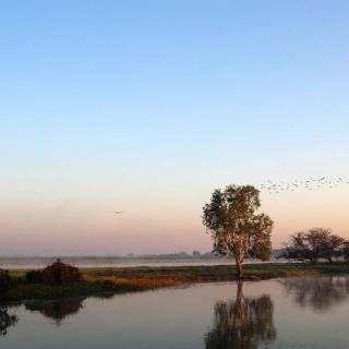 Yellow Water Cruises - Gagudju Dreaming