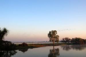 Go to Yellow Water Cruises - Gagudju Dreaming, Cooinda Lodge Kakadu NT 