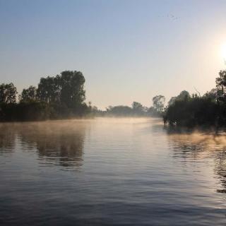 Yellow Water Cruises - Gagudju Dreaming