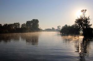 Go to Yellow Water Cruises - Gagudju Dreaming, Cooinda Lodge Kakadu NT 