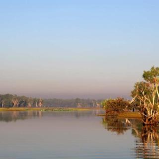 Yellow Water Cruises - Gagudju Dreaming