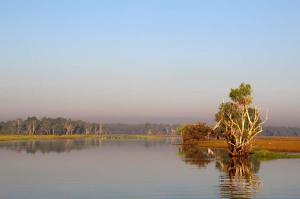 Go to Yellow Water Cruises - Gagudju Dreaming, Cooinda Lodge Kakadu NT 