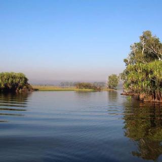 Yellow Water Cruises - Gagudju Dreaming