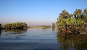 Go to Yellow Water Cruises - Gagudju Dreaming, Cooinda Lodge Kakadu NT 
