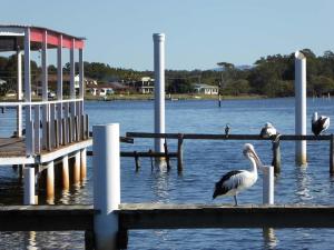 Go to Manning Point, NSW
