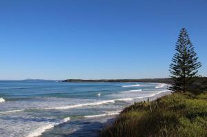 Go to Wallabi Point, NSW