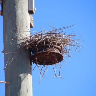 Road to Point Quobba