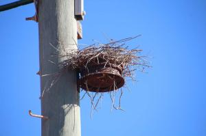 Go to Point Quobba, WA 
