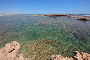 Go to The Aquarium, Point Quobba WA 