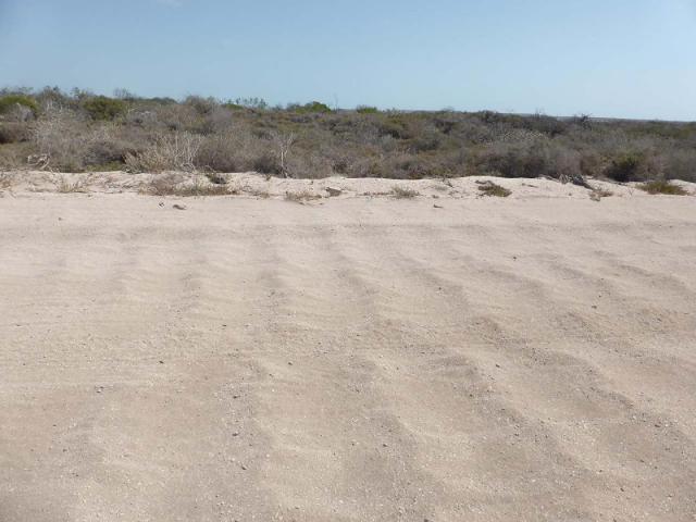 Road - Edel Land NP to Rangers Station