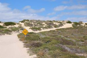 Go to Road - Thunder Bay to Edel NP entrance, Edel Land NP WA 