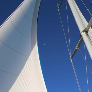 Shotover Wildlife Cruises