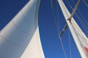 Go to Shotover Wildlife Cruises, Monkey Mia WA 