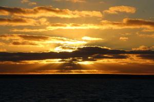 Go to Shotover Sunset Cruise, Monkey Mia WA 