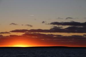 Go to Shotover Sunset Cruise, Monkey Mia WA 