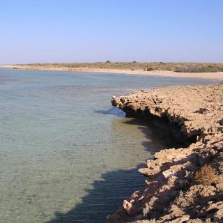 Tamala Station - Prickly Point