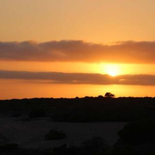 Tamala Station - Prickly Point
