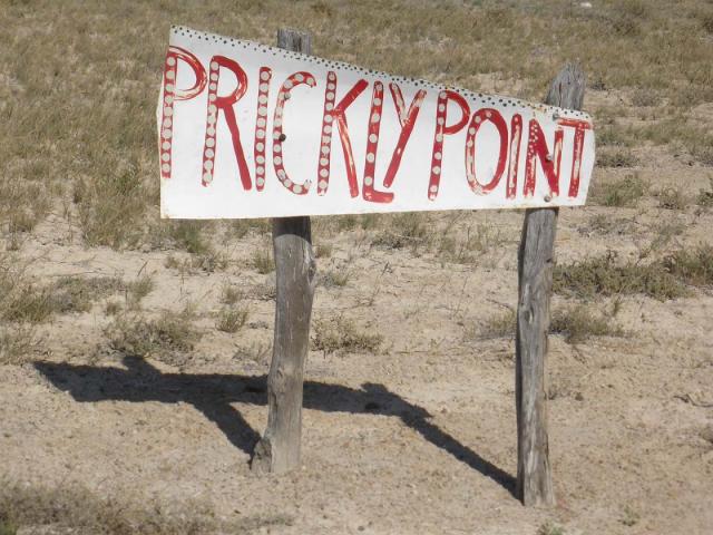 Tamala Station - Prickly Point