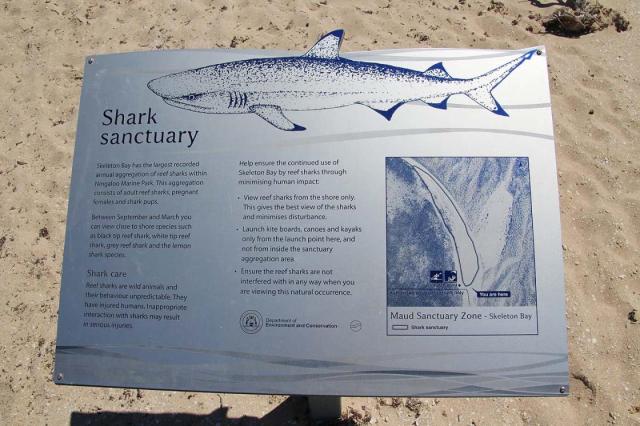 Shark Sanctuary