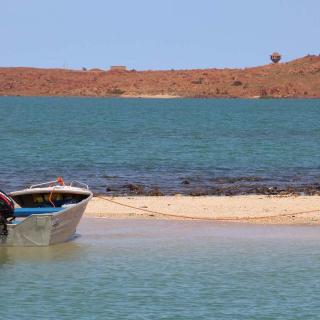 Resources Harbour Tour