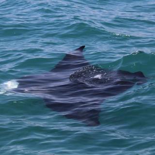 Resources Harbour Tour